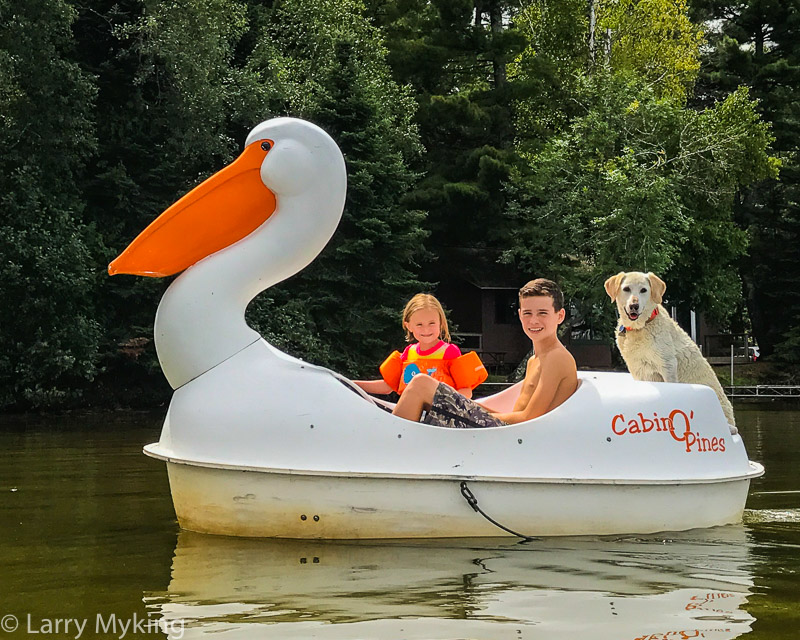 Pelican Peddle Boat at Cabin O' Pines Resort