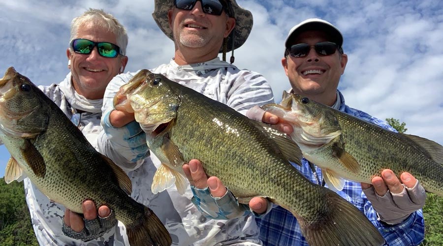 Three fishermen holding up their bass fish catches on main dock of cabin o pines on pelican lake, MN