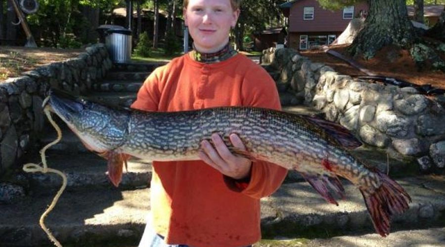 A large nothern pike being held on main steps leading to main dock at cabin o pines