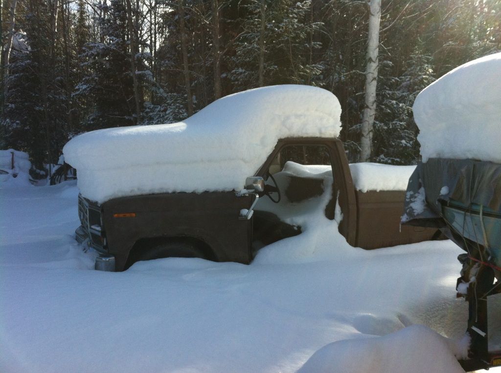 Feb 2015 - The "Safari" Truck