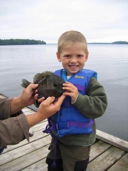 Andrew - Bluegill Caught Off The Dock - Summer 2024 - Cabin O' Pines Resort & Campground