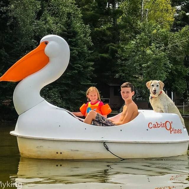 Pelican Peddle Boat at Cabin O' Pines Resort & Campground
