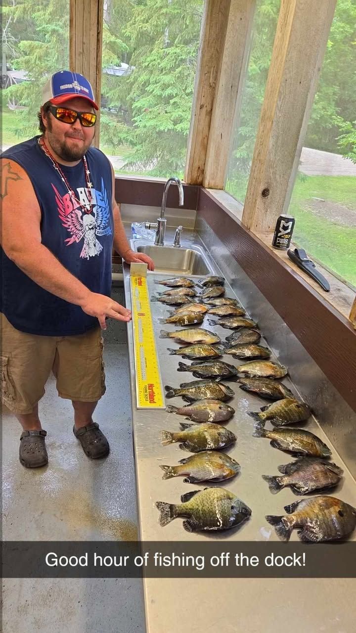 Ben Stifter - Bluegill Caught Off The Dock At Cabin O' Pines Resort & Campground - Summer 2024